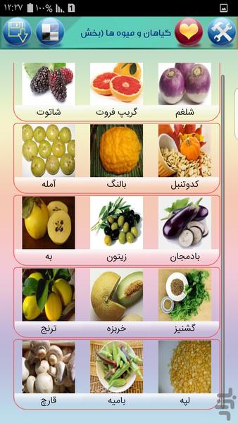 The health benefits of fruit plants - Image screenshot of android app