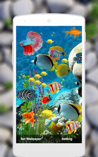 Fish Live Wallpaper Machhali L - Image screenshot of android app