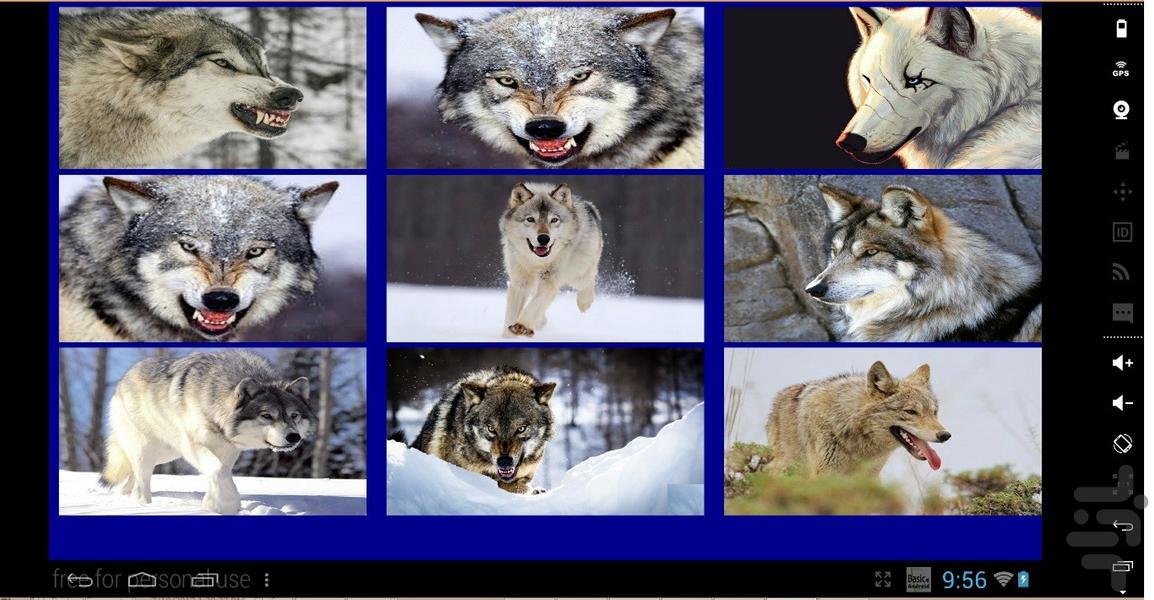 گرگ - Gameplay image of android game