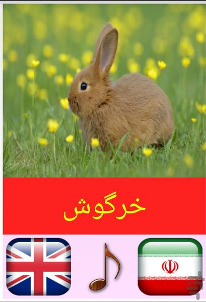 آموزش حیوانات - عکس برنامه موبایلی اندروید