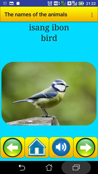 Animal names in Filipino - Image screenshot of android app