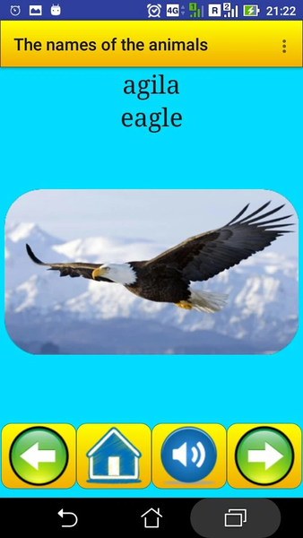 Animal names in Filipino - Image screenshot of android app