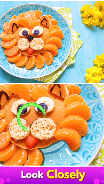 Find Difference - Spot Hidden - Gameplay image of android game