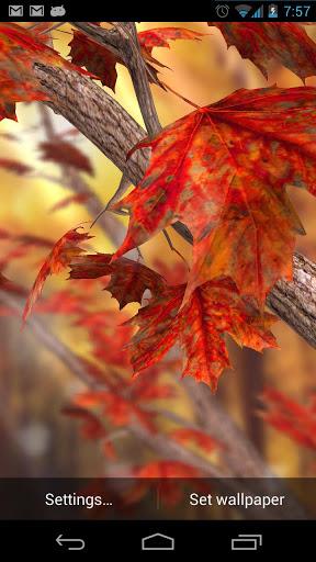 Autumn Tree Free Wallpaper - Image screenshot of android app