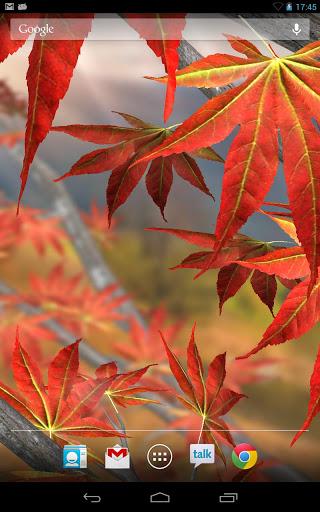 Autumn Tree Free Wallpaper - Image screenshot of android app