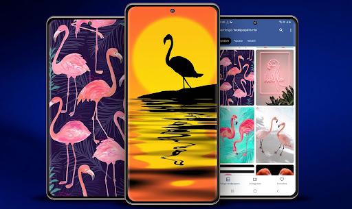 Flamingo Bird Live Wallpaper - عکس برنامه موبایلی اندروید