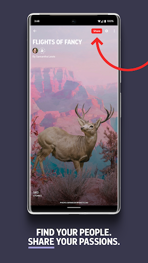Flipboard: News For Our Time - عکس برنامه موبایلی اندروید