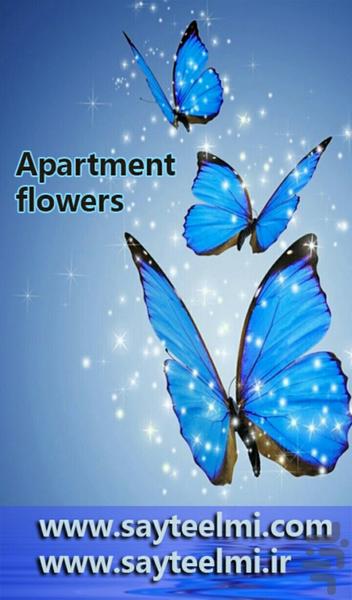 Apartment flowers - Image screenshot of android app