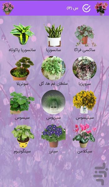 Apartment flowers - Image screenshot of android app