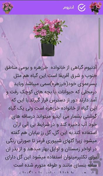 Apartment flowers - Image screenshot of android app