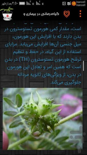 گیاه درمانی 1 - عکس برنامه موبایلی اندروید