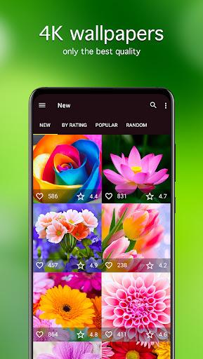 Flower Wallpapers 4K - Image screenshot of android app