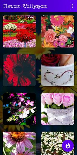 Flower Wallpaper HD 4K - عکس برنامه موبایلی اندروید