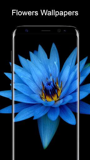 Flowers Wallpapers HD 🌹 - Image screenshot of android app