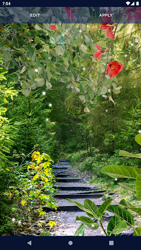 Forest Live Wallpaper - عکس برنامه موبایلی اندروید