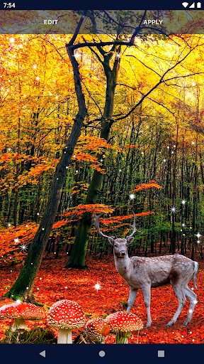 Forest Live Wallpaper - عکس برنامه موبایلی اندروید