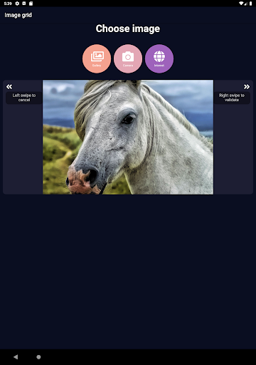 ImageGrid - Image screenshot of android app