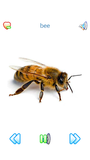 Sounds of Fauna + ringtones - Image screenshot of android app