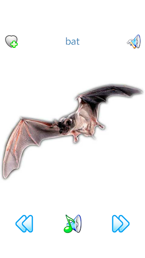 Sounds of Fauna + ringtones - Image screenshot of android app