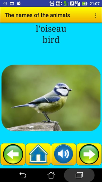 Animals names in French - عکس برنامه موبایلی اندروید