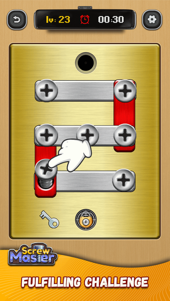 Screw Tricky Puzzle-Pin Master - Gameplay image of android game