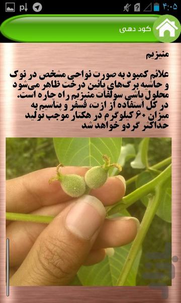 پرورش گردو - عکس برنامه موبایلی اندروید