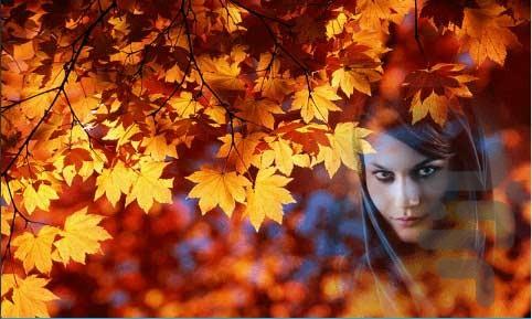 قاب عکس پاییز - عکس برنامه موبایلی اندروید