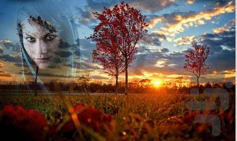 قاب عکس پاییز - عکس برنامه موبایلی اندروید