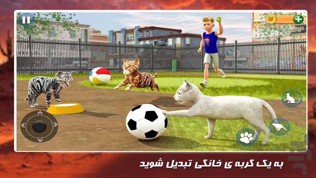 بازی حیوانات خانگی | گربه کوچولو - عکس بازی موبایلی اندروید