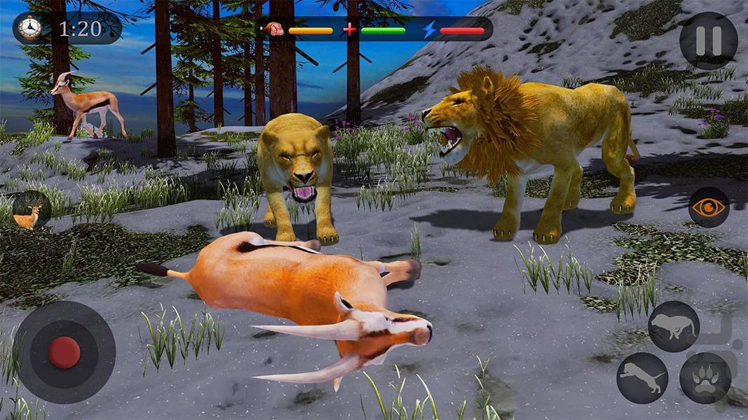 بازی حیوانات وحشی | بازی جدید - Gameplay image of android game