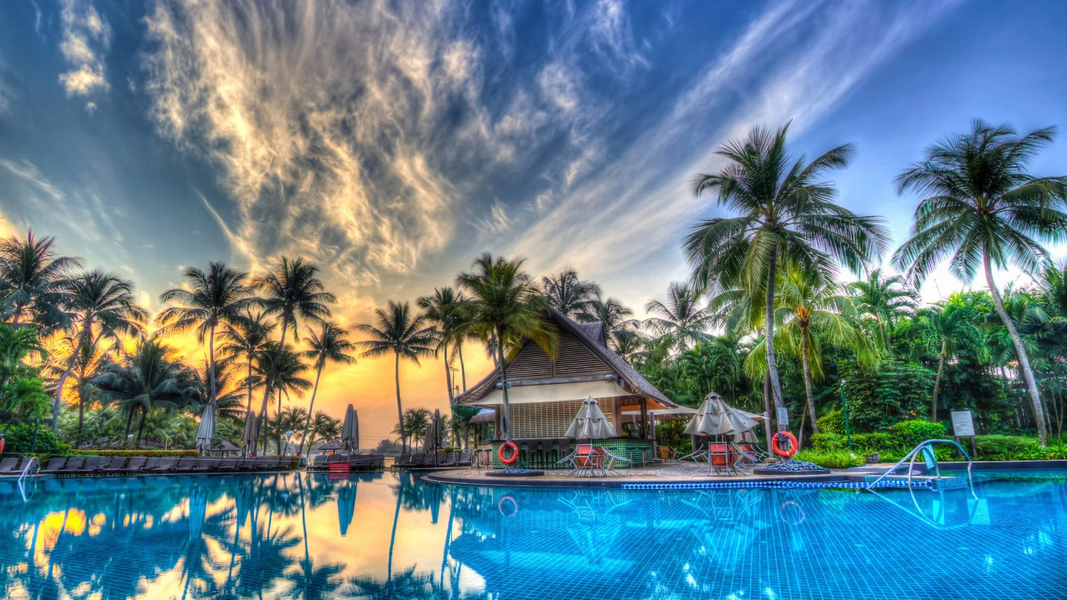 Palm Tree Wallpapers - عکس برنامه موبایلی اندروید