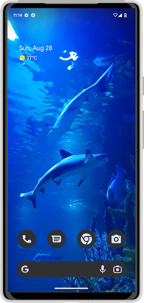 White Shark HD Video Wallpaper - عکس برنامه موبایلی اندروید