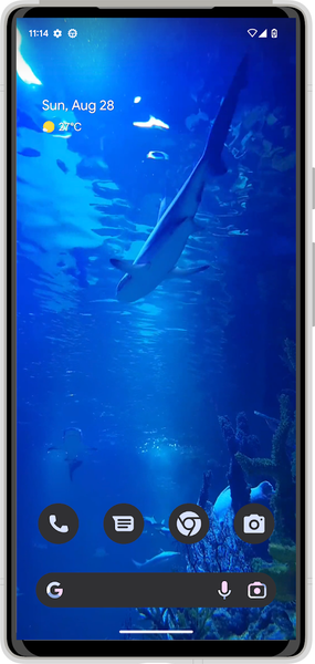 White Shark HD Video Wallpaper - Image screenshot of android app