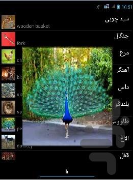 Saat Chobi game (demo) - Gameplay image of android game