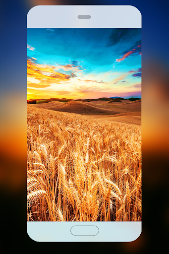 Free Wallpapers QHD & 4K Background - Image screenshot of android app