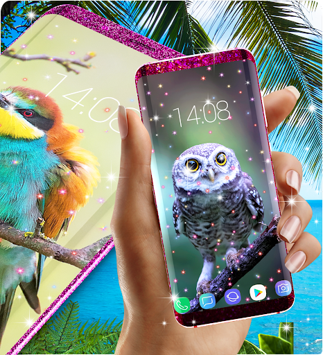 Live wallpapers birds - عکس برنامه موبایلی اندروید