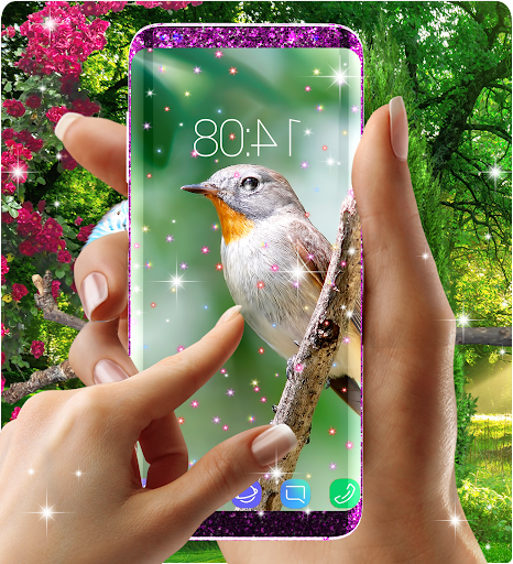 Live wallpapers birds - عکس برنامه موبایلی اندروید