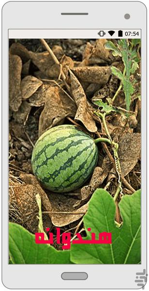 پرورش هندوانه - عکس برنامه موبایلی اندروید