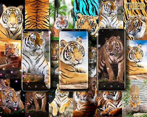 Tiger live wallpaper - Image screenshot of android app