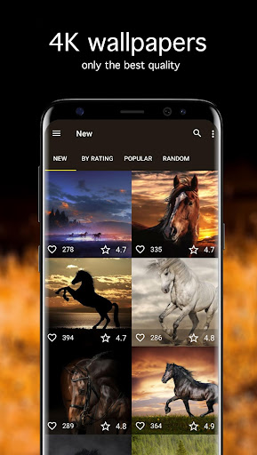 7Fon: Wallpapers & Backgrounds APK for Android Download