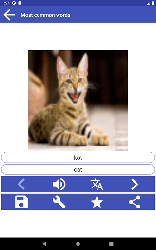 Learn Polish Language - Image screenshot of android app