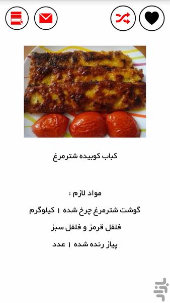 پخت کبابهای حرفه ای - Image screenshot of android app