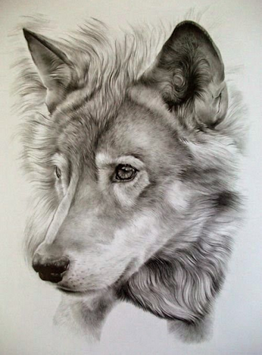 Learn from these pencil drawing artists, the best way to draw reality!