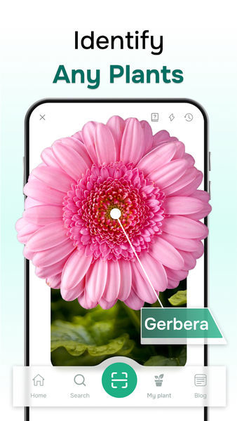 Ai Plant Identifer - Image screenshot of android app