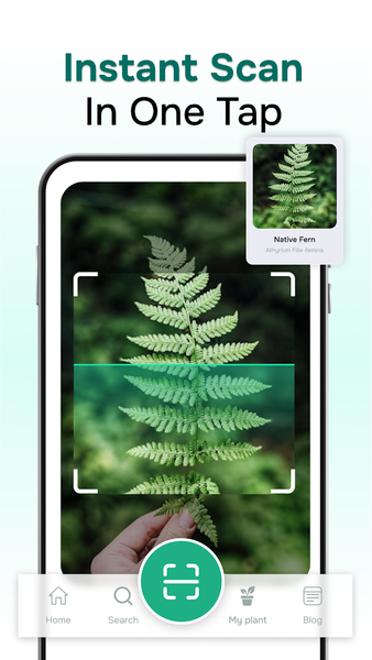 Ai Plant Identifer - Image screenshot of android app