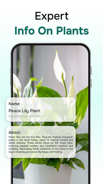 Florant: Ai Plant Identifier - Image screenshot of android app