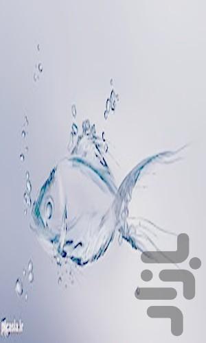 غذا با ماهی - عکس برنامه موبایلی اندروید