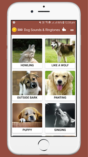 Dog Sounds Ringtones - Image screenshot of android app