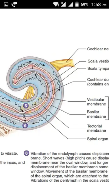 BPharm Study Notes - عکس برنامه موبایلی اندروید