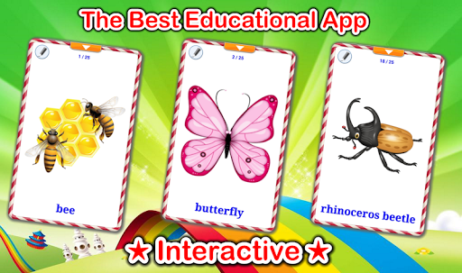 Insects Cards Games - Image screenshot of android app